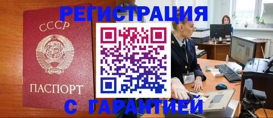 прописка 2025 в Зеленогорске